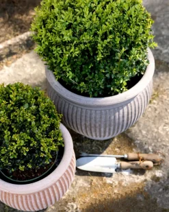 Bergs Potter ApS Blomkrukor & Vaser|Bergs Potter Krukor|Bergs Potter Utomhuskruka - Grå 40 cm