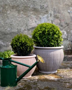 Bergs Potter ApS Blomkrukor & Vaser|Bergs Potter Krukor|Bergs Potter Utomhuskruka - Natur 30 cm