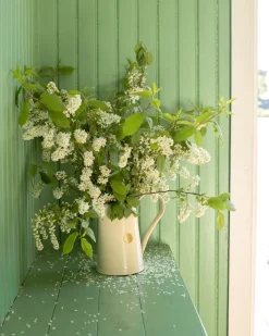 Andcph ApS Vattenkannor|Vattenkannor|Kanna 1,8 L - Blomvas gräddvit