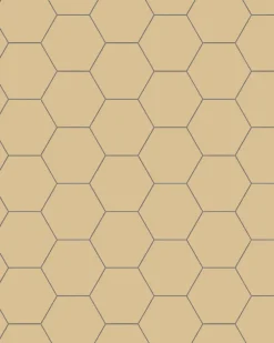 Winckelmans Klinker Hall|Hexagonklinker|Klinker - Hexagon 10 x 10 cm honung