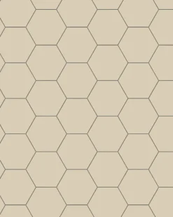 Winckelmans Klinker Hall|Hexagonklinker|Klinker - Hexagon 10 x 10 cm ontario