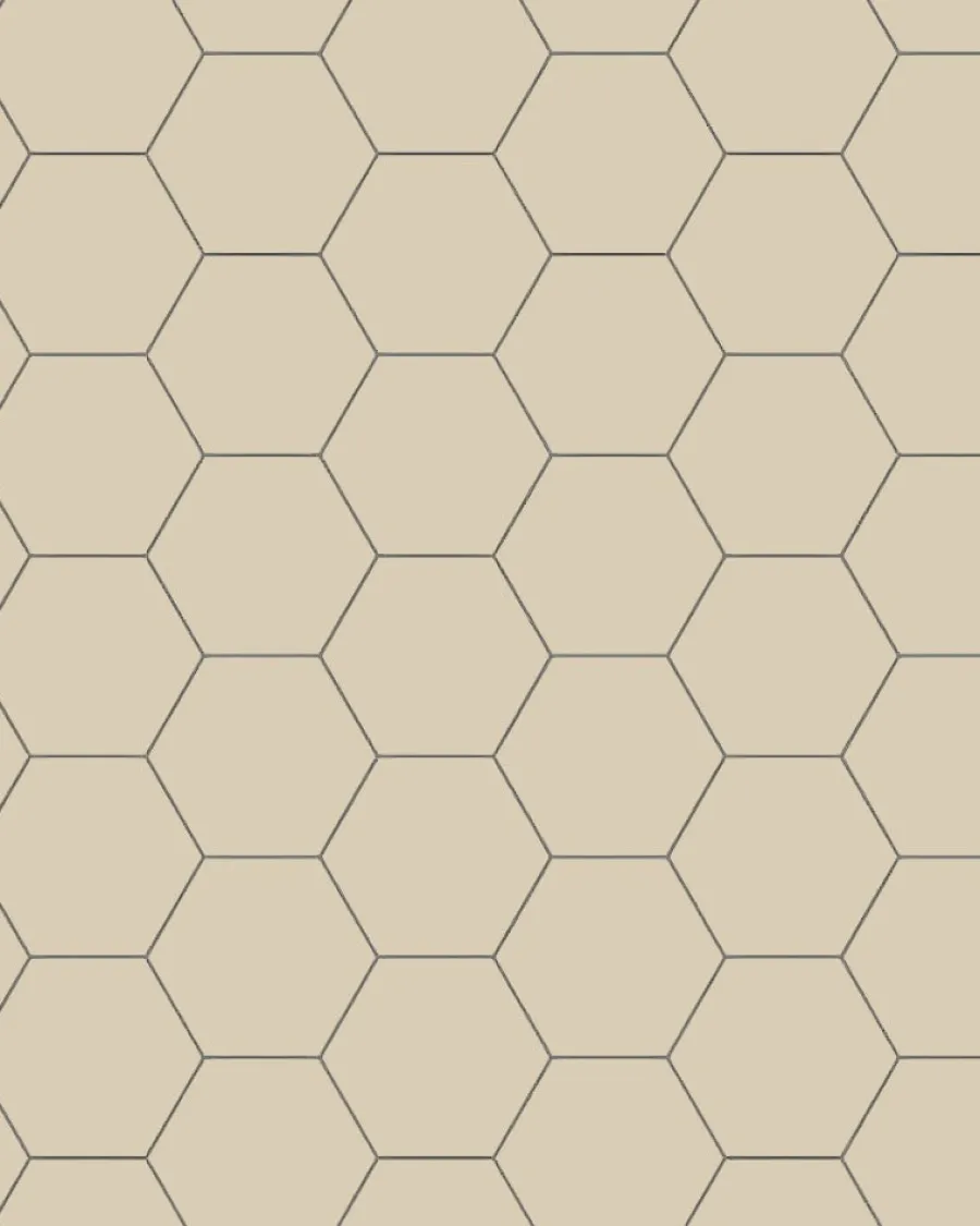 Winckelmans Klinker Hall|Hexagonklinker|Klinker - Hexagon 10 x 10 cm ontario