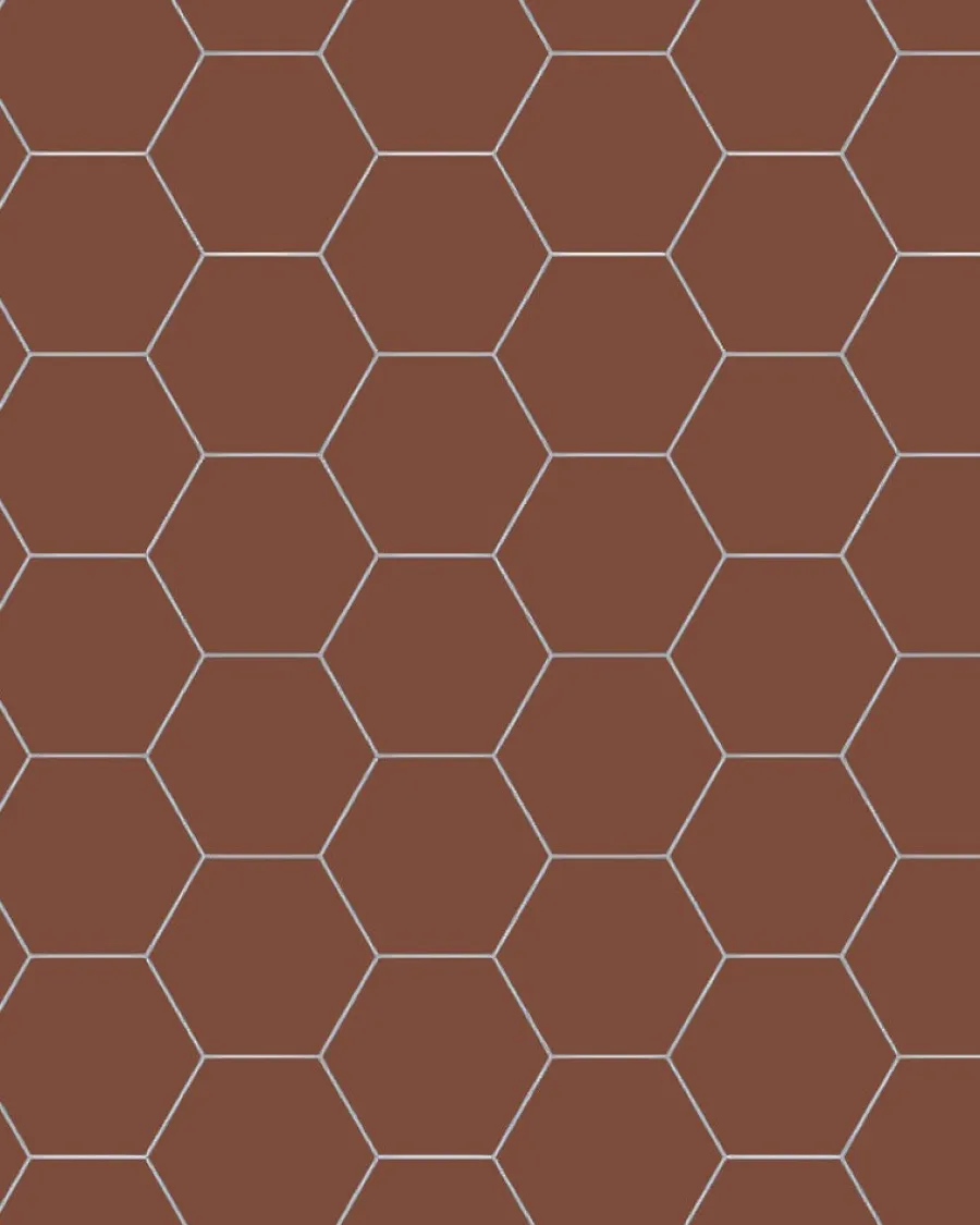 Winckelmans Klinker Hall|Hexagonklinker|Klinker - Hexagon 10 x 10 cm röd