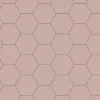 Winckelmans Klinker Hall|Hexagonklinker|Klinker - Hexagon 10 x 10 cm rosa