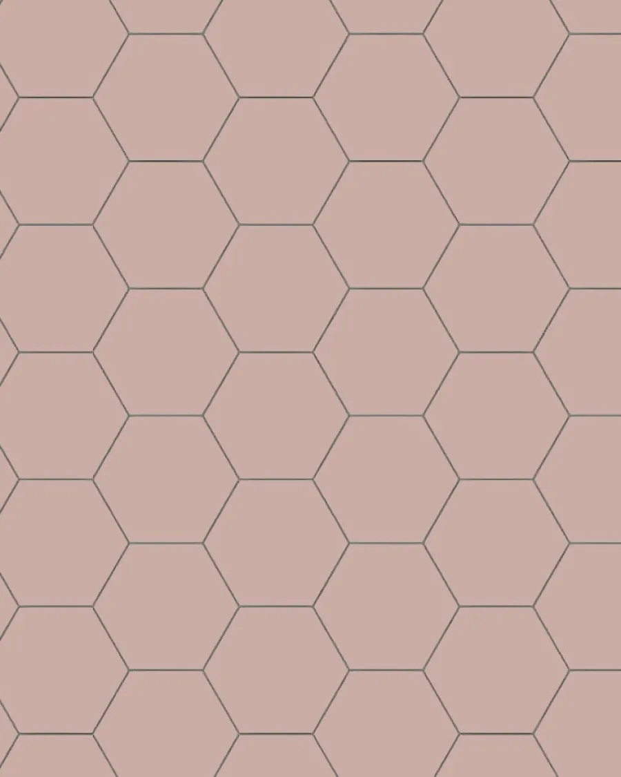 Winckelmans Klinker Hall|Hexagonklinker|Klinker - Hexagon 10 x 10 cm rosa