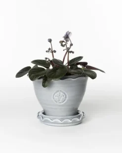Sturehofs Krukmakeri Presenttips|Blomkrukor & Vaser|Kruka Sturehof - Adelcrantz, 11 cm grå