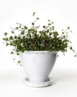 Sturehofs Krukmakeri Presenttips|Blomkrukor & Vaser|Kruka Sturehof - Adelcrantz, 17 cm vit