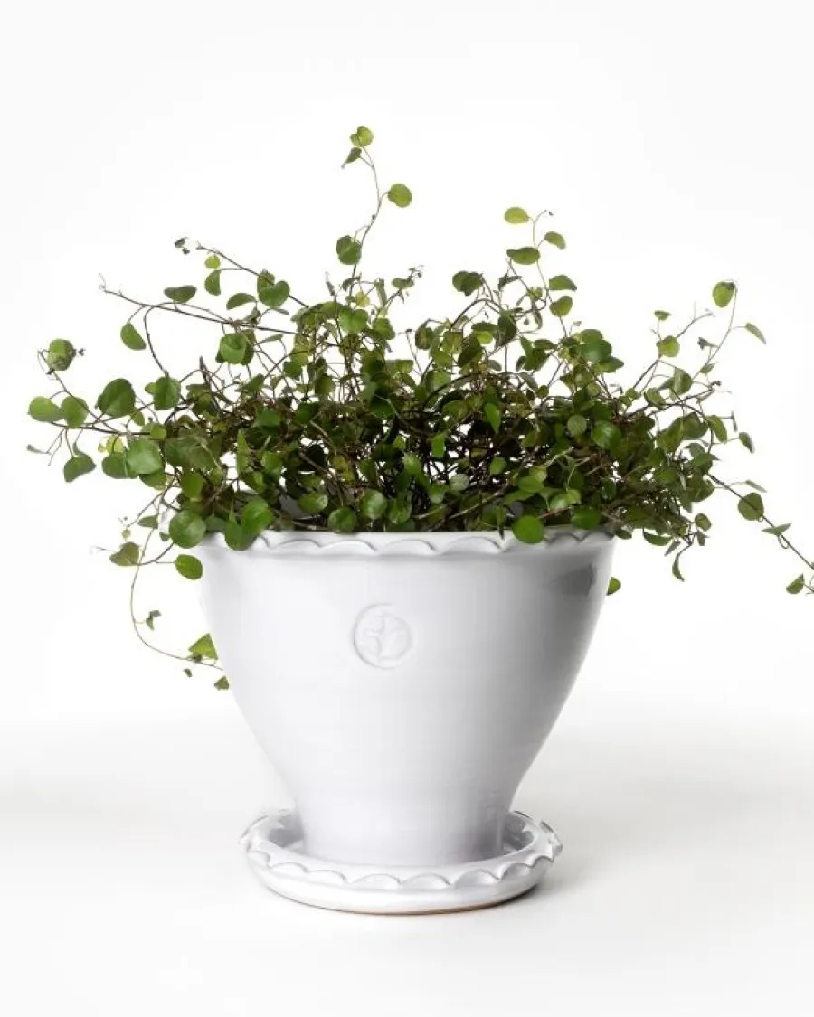 Sturehofs Krukmakeri Presenttips|Blomkrukor & Vaser|Kruka Sturehof - Adelcrantz, 17 cm vit