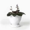 Sturehofs Krukmakeri Presenttips|Blomkrukor & Vaser|Kruka Sturehof - Adelcrantz, 11 cm vit