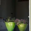 Sturehofs Krukmakeri Presenttips|Blomkrukor & Vaser|Kruka Sturehof - Adelcrantz, 17 cm grön