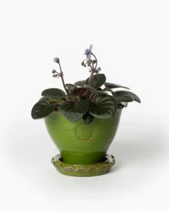 Sturehofs Krukmakeri Presenttips|Blomkrukor & Vaser|Kruka Sturehof - Adelcrantz, 11 cm grön