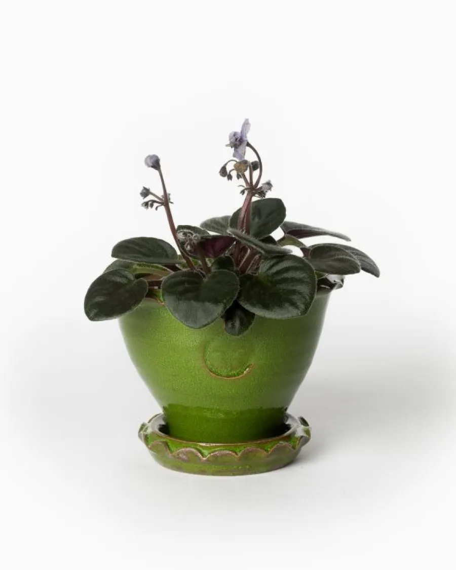 Sturehofs Krukmakeri Presenttips|Blomkrukor & Vaser|Kruka Sturehof - Adelcrantz, 11 cm grön