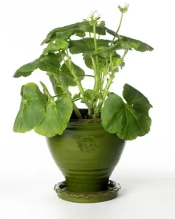 Sturehofs Krukmakeri Presenttips|Blomkrukor & Vaser|Kruka Sturehof - Adelcrantz, 21 cm grön