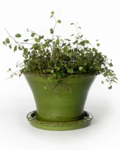 Sturehofs Krukmakeri Presenttips|Blomkrukor & Vaser|Kruka Sturehof - Liljencrantz, 20 cm grön