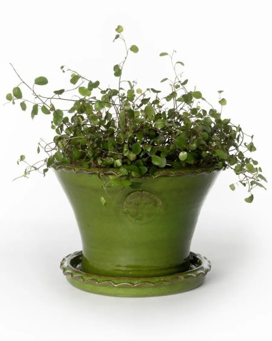 Sturehofs Krukmakeri Presenttips|Blomkrukor & Vaser|Kruka Sturehof - Liljencrantz, 20 cm grön