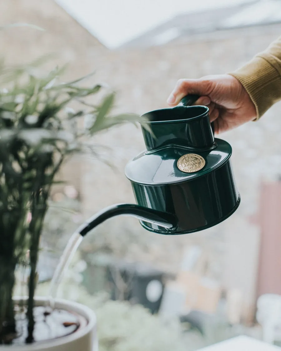 Andcph ApS Vattenkannor|Presenttips|Vattenkanna inomhus - Grön 0,5 L