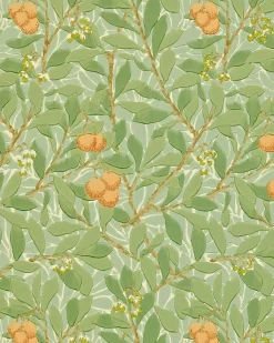Sanderson Design Group Brands Ltd Mönstrade Tapeter|Blommiga Tapeter|William Morris & Co. Tapet - Arbutus Green/Terracotta