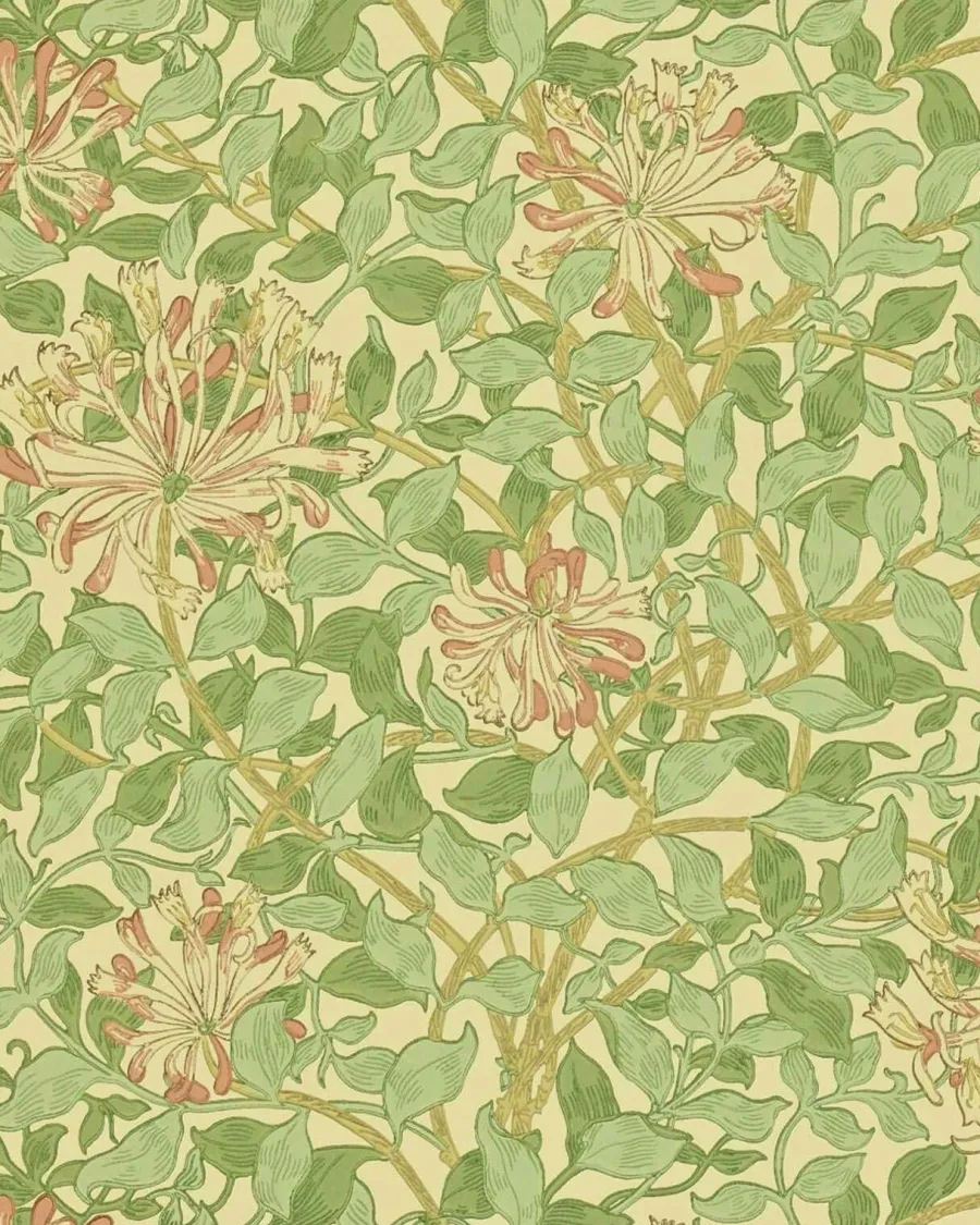Sanderson Design Group Brands Ltd Mönstrade Tapeter|Blommiga Tapeter|William Morris & Co. Tapet - Honeysuckle Green/Beige/Pink