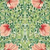 Sanderson Design Group Brands Ltd Mönstrade Tapeter|Blommiga Tapeter|William Morris & Co. Tapet - Pimpernel Shamrock/Watermelon