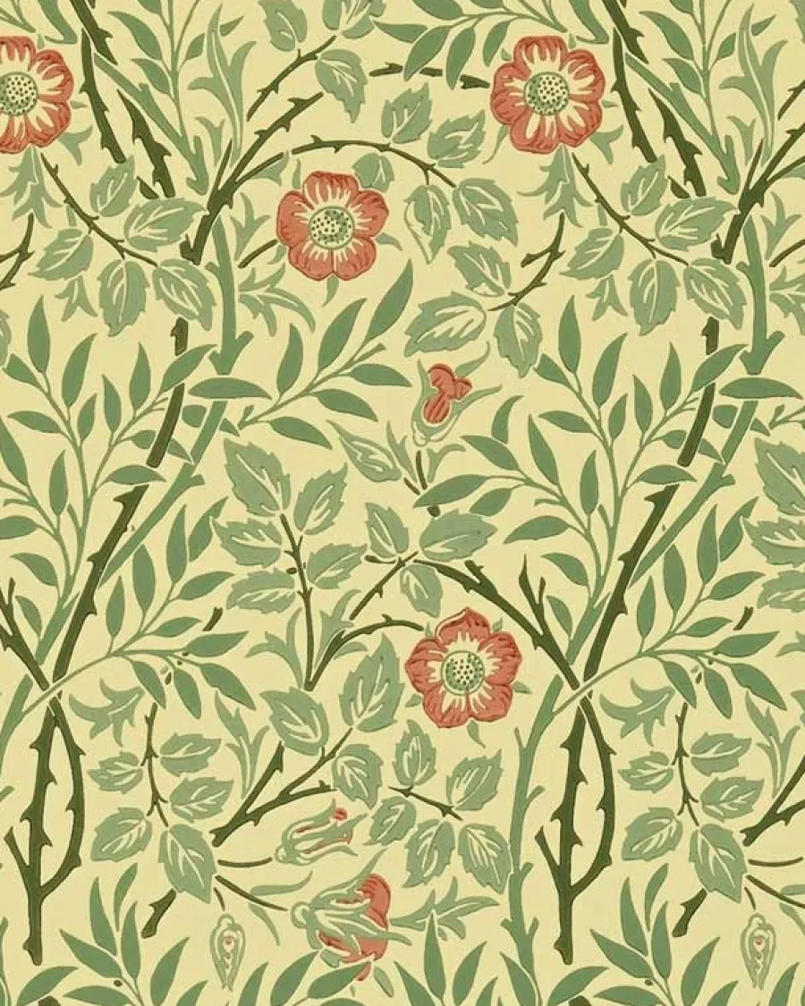 Sanderson Design Group Brands Ltd Mönstrade Tapeter|Blommiga Tapeter|William Morris & Co. Tapet - Sweet Briar Green/Blue/Rose