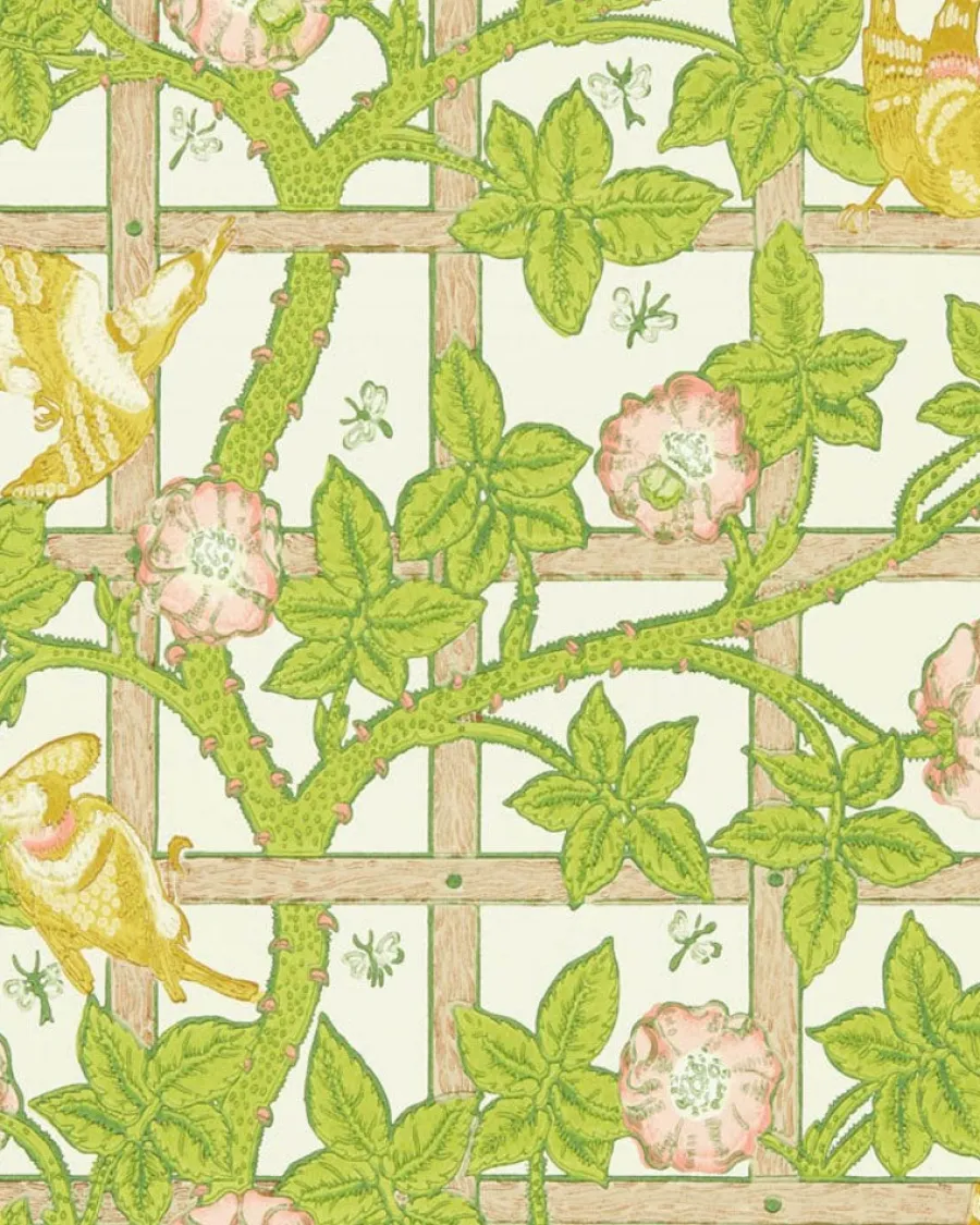 Sanderson Design Group Brands Ltd Mönstrade Tapeter|Blommiga Tapeter|William Morris & Co. Tapet - Trellis summer yellow